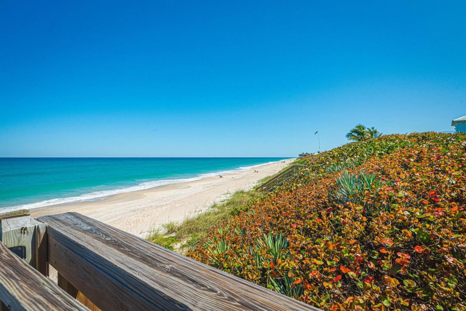 Tranquility Seahorse Suite - Oceanfront Paradise! ملبورن بيتش المظهر الخارجي الصورة